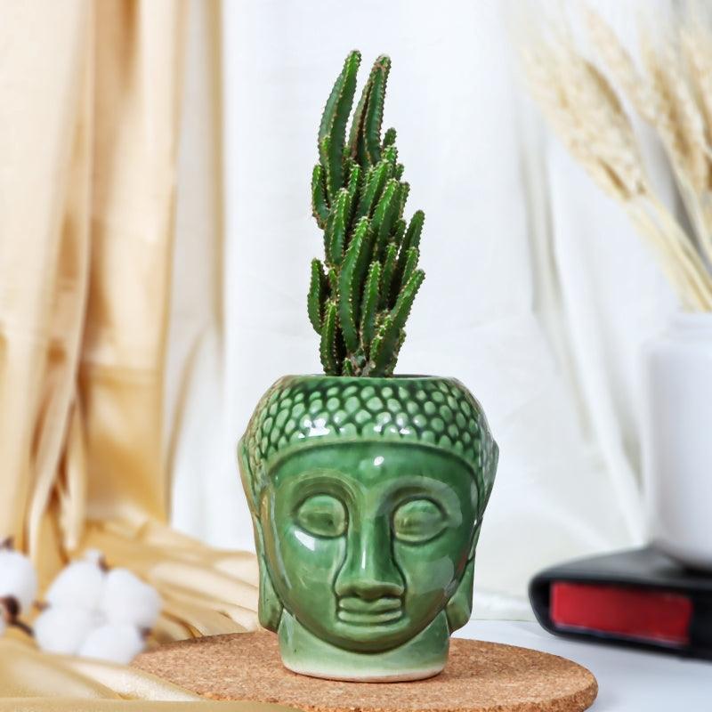Cactus Cheer - The Gift Studio