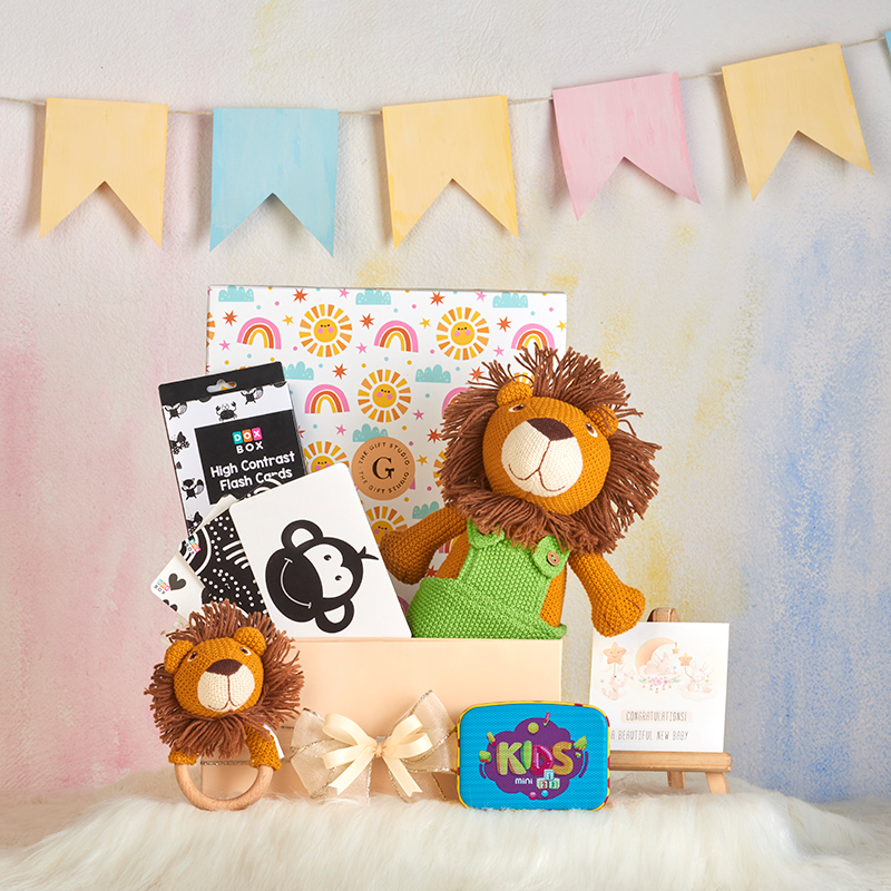 Curious Baby Playset-The Gift Stduio