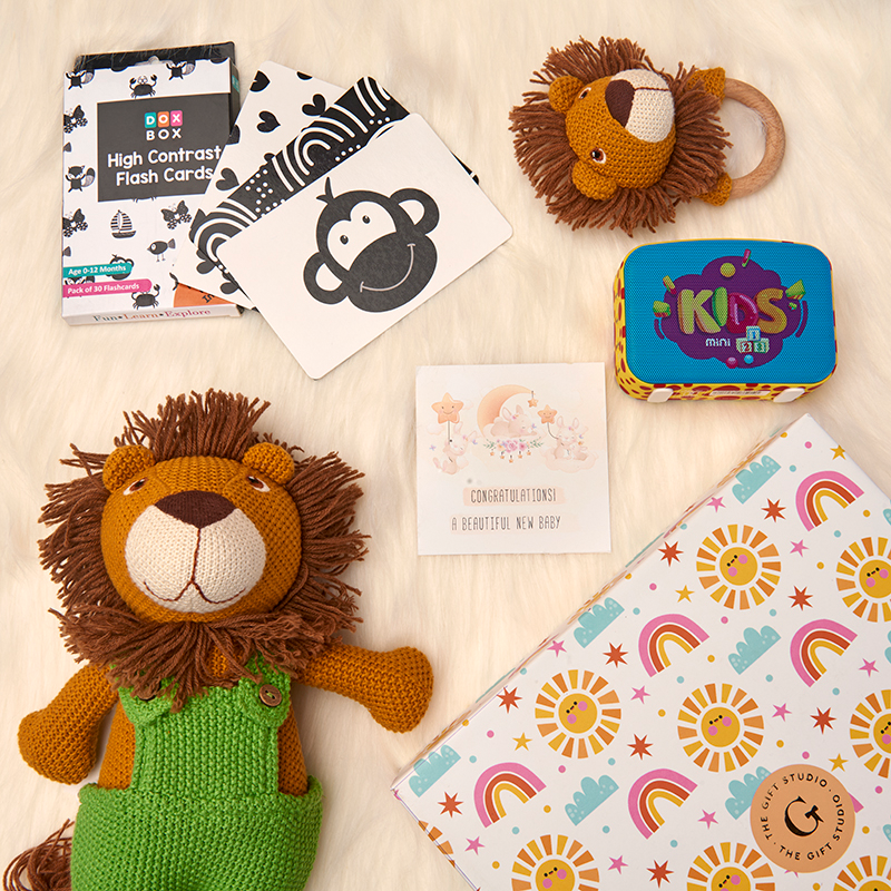 Curious Baby Playset-The Gift Stduio