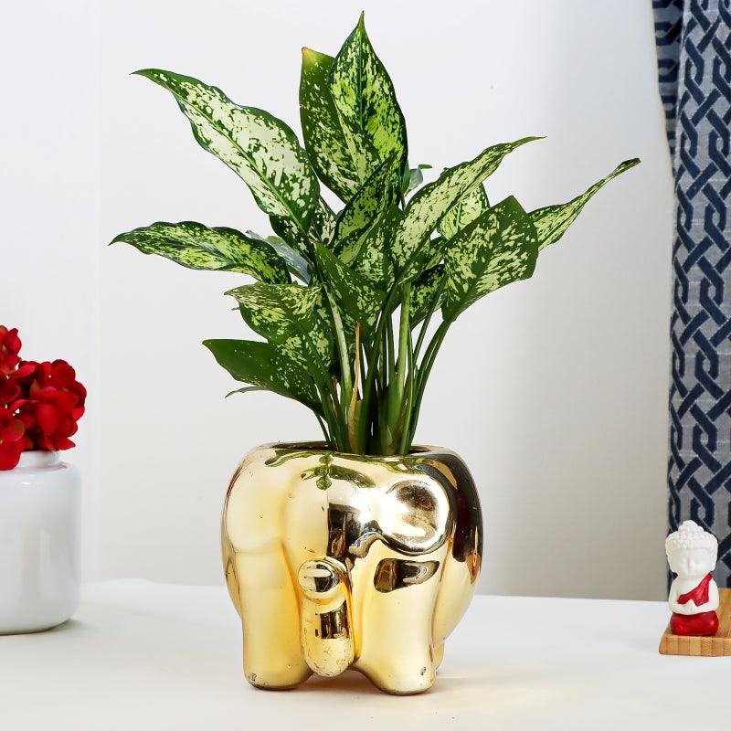 Elephant Charm - The Gift Studio