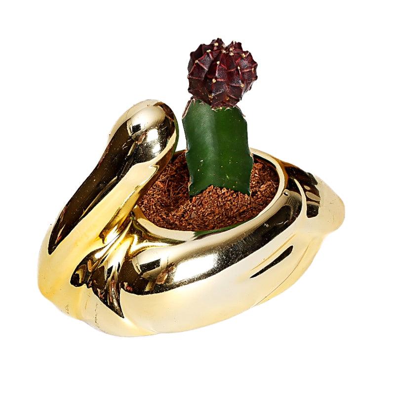 Golden Moon - The Gift Studio
