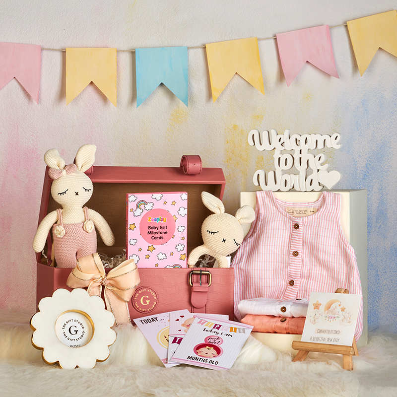 Newborn Baby Girl Hamper-The Gift Stduio