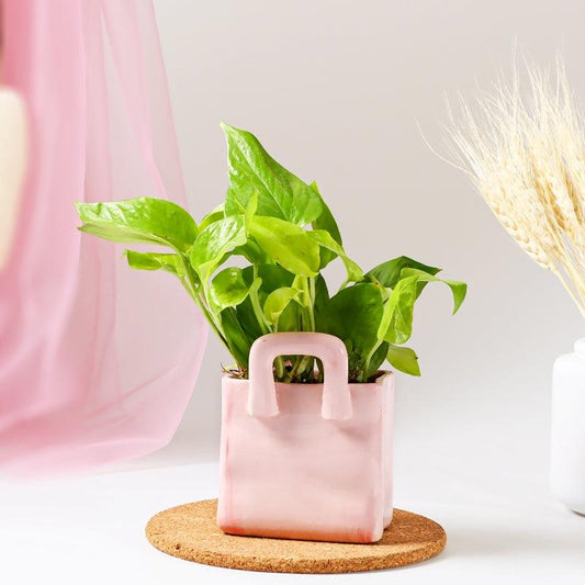 Pink Prosperity - The Gift Studio