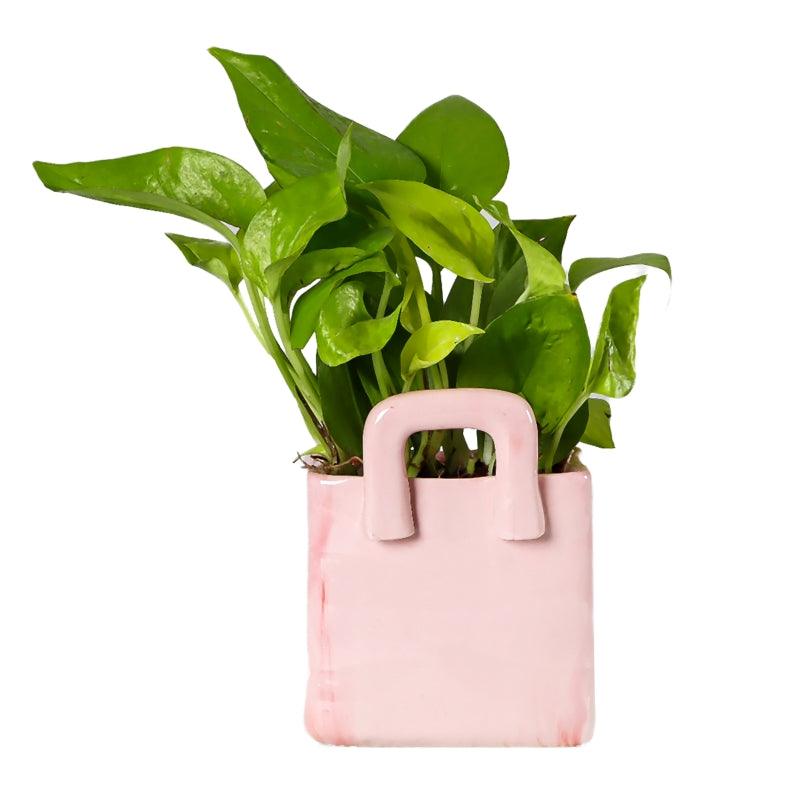 Pink Prosperity - The Gift Studio