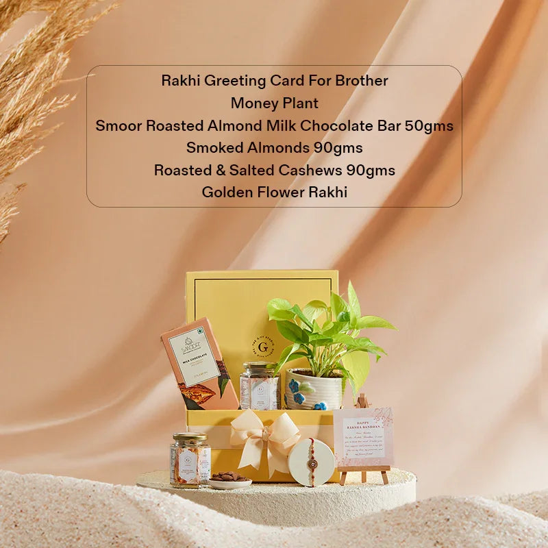 Rakhi Green Delight Hamper for Brother_The Gift Studio