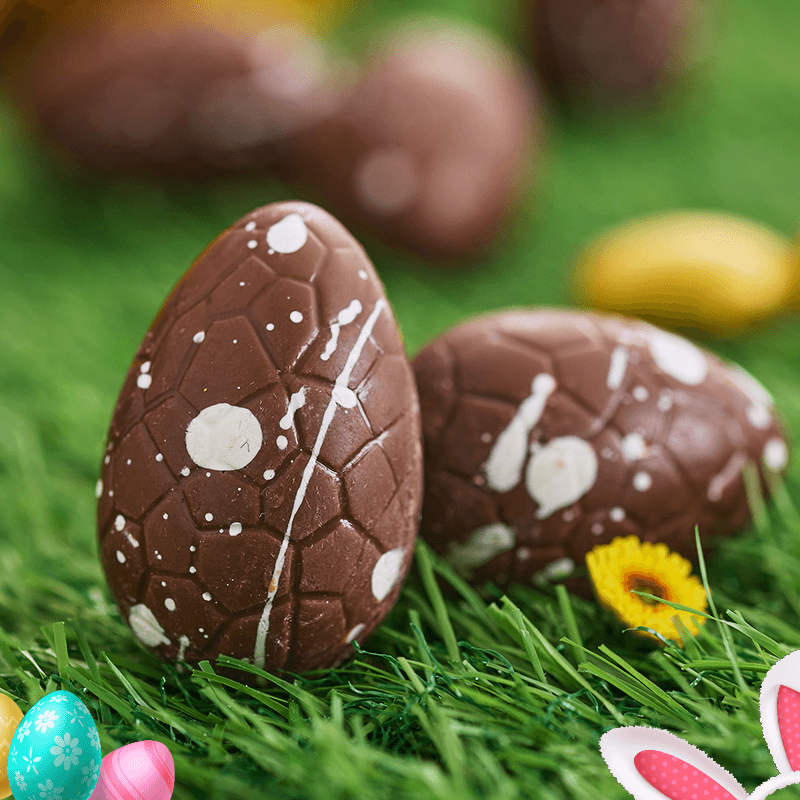 Choco Quail eggs - Pack of 6 - The Gift Studio