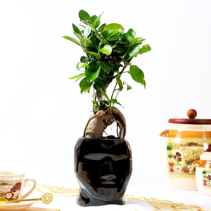 Silent Guardian - The Gift Studio