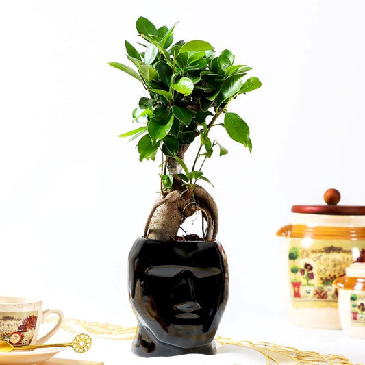 Silent Guardian - The Gift Studio