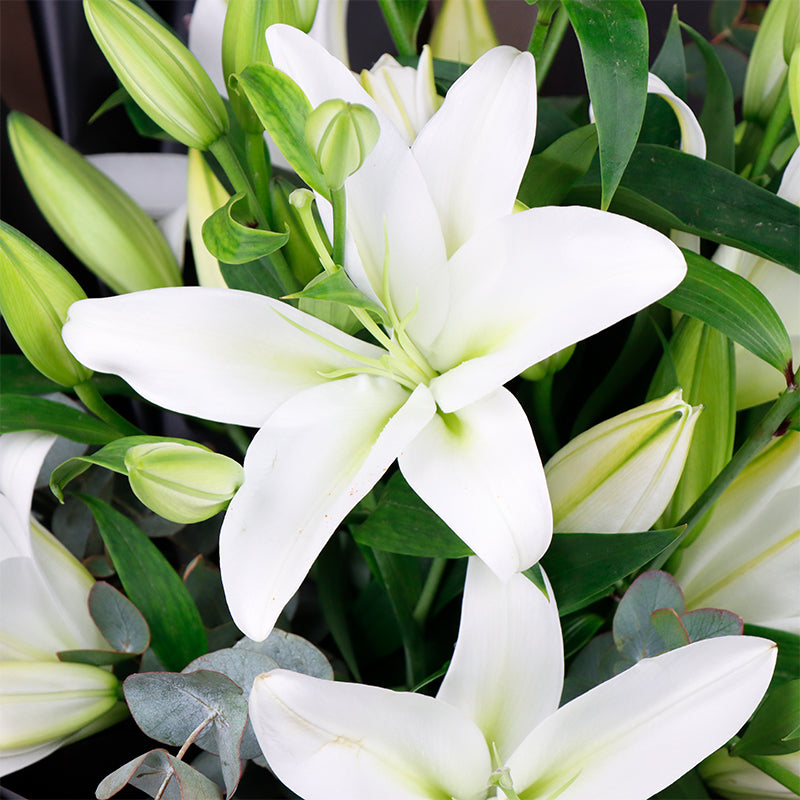 White Lily Bouquet