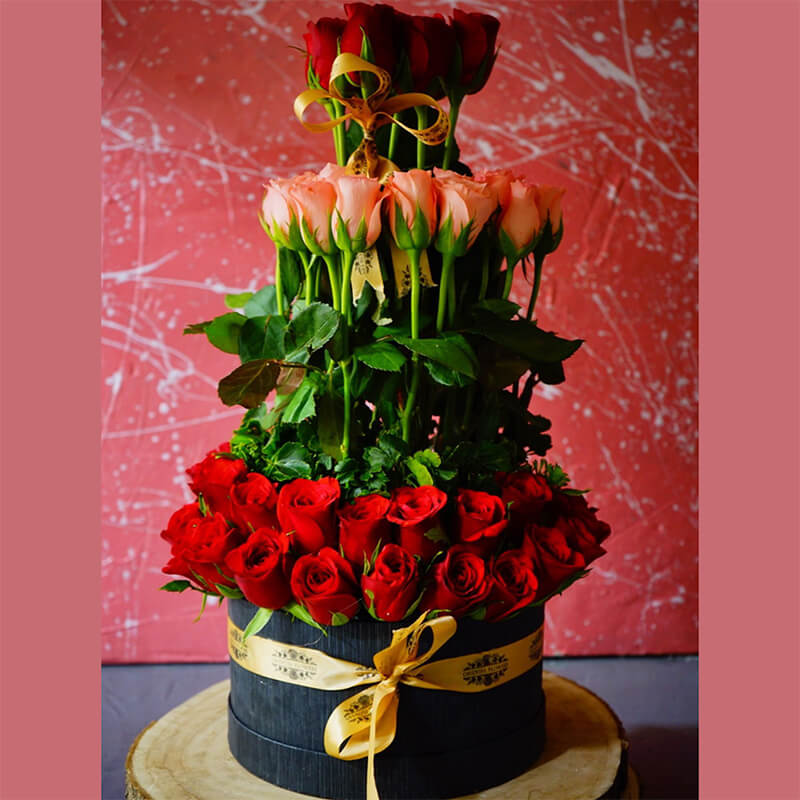 Sweet Floral Melody