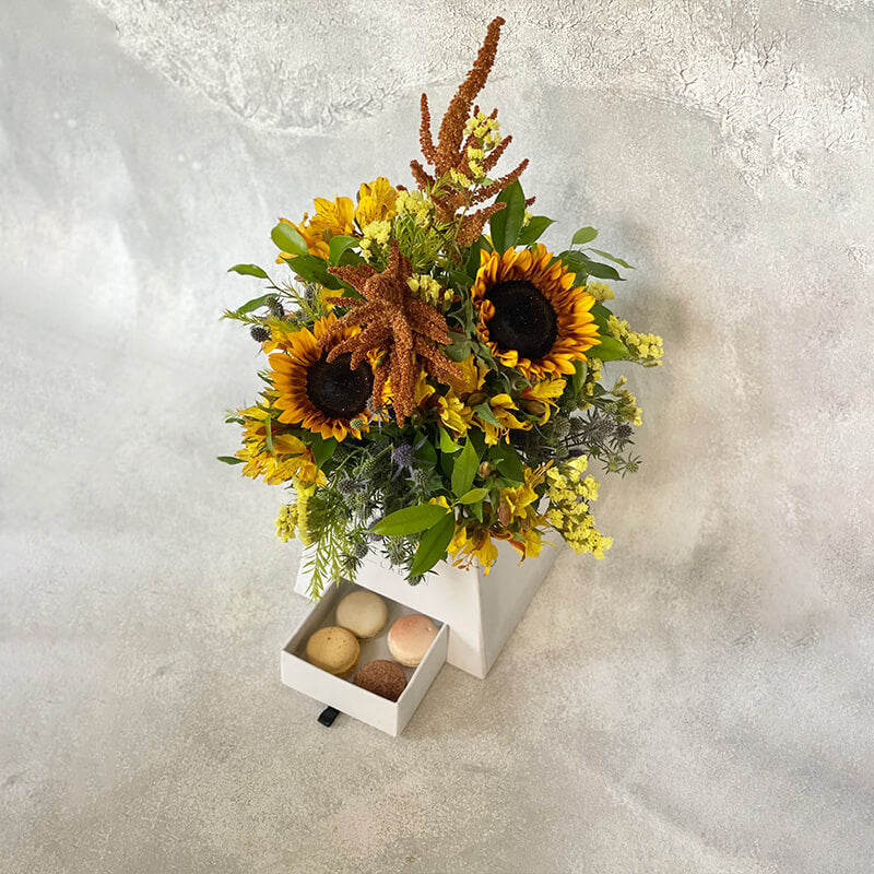 Sunshine In A Paper Box
