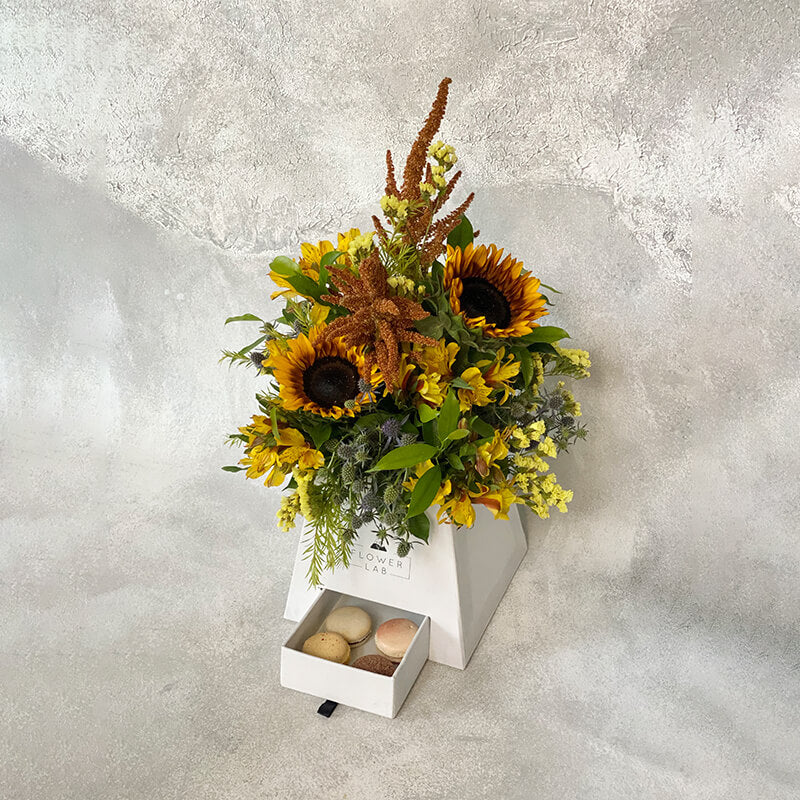 Sunshine In A Paper Box