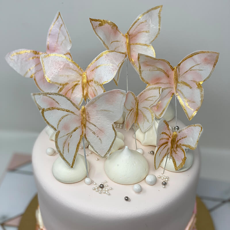 Butterfly Themed Cake