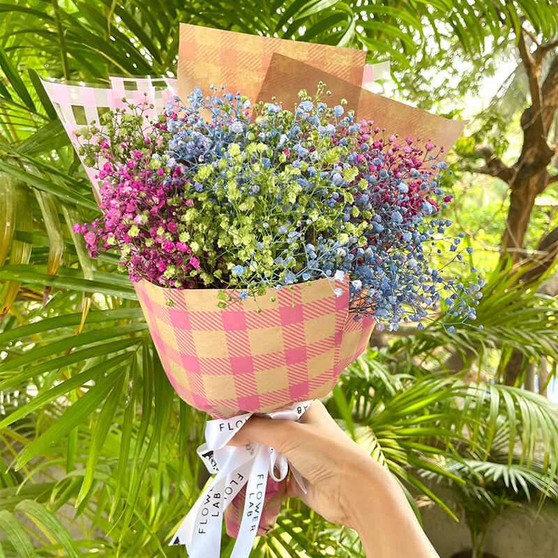Baby's Breath Hand Bouquet