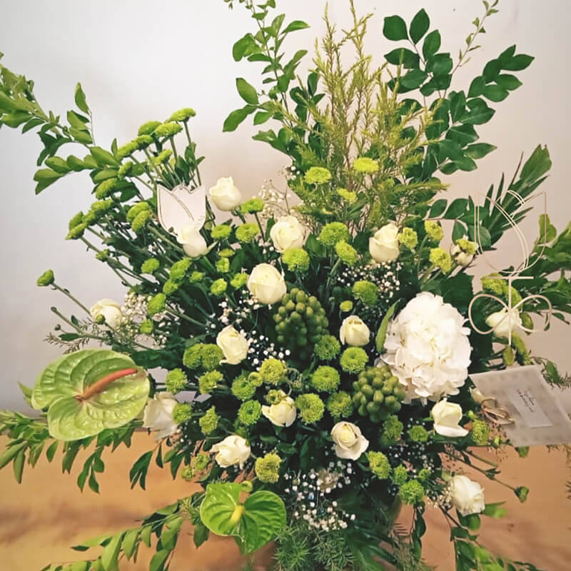Whites And Limes