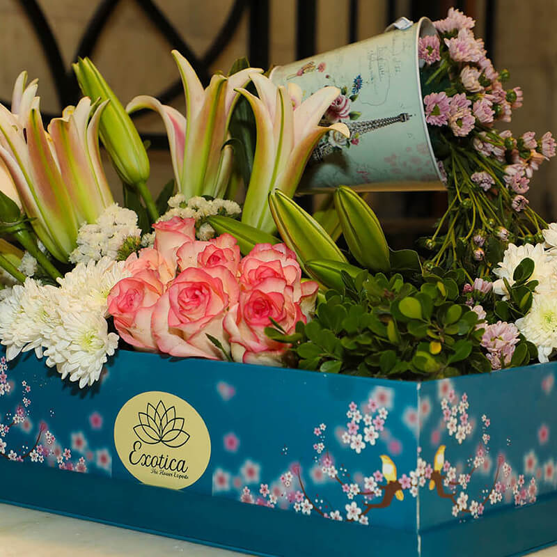 Big Box Of Roses, Lily, Daisy & Baby Breath
