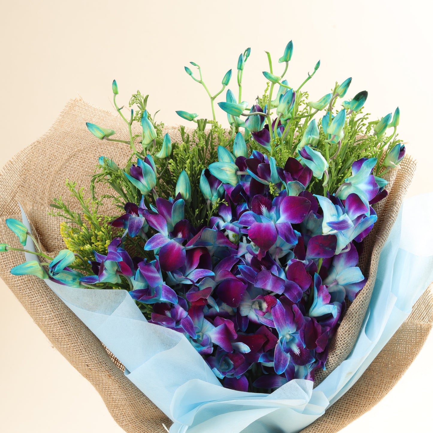 10 Gorgeous Blue Orchids