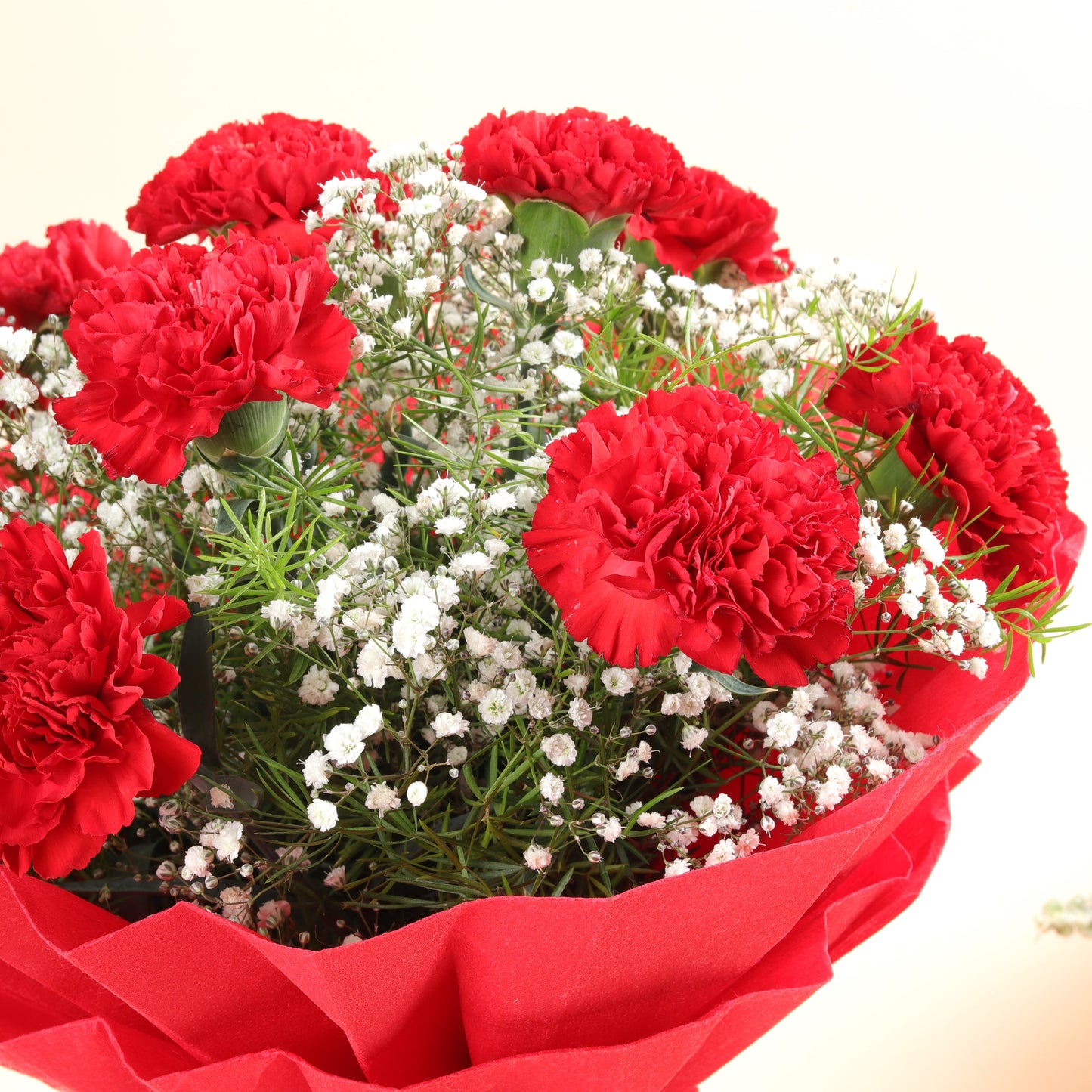 10 Red Carnations Bouquet