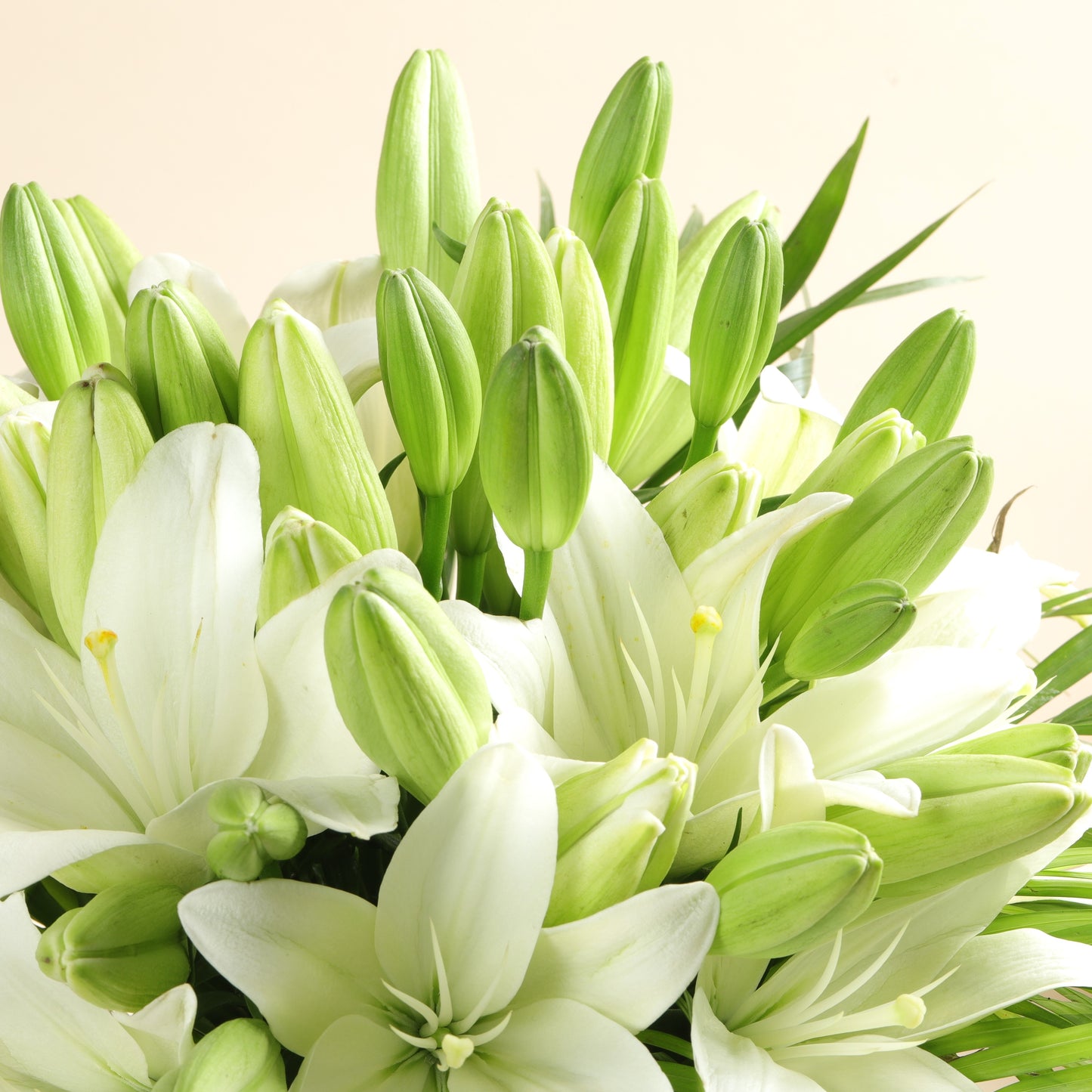 10 White Asiatic Lilies In Fishbowl