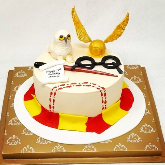 Harry Potter Themed Cake