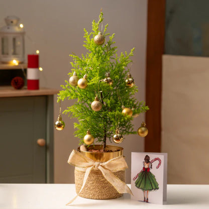 Christmas Tree with Gold Bauble & Brass Planter