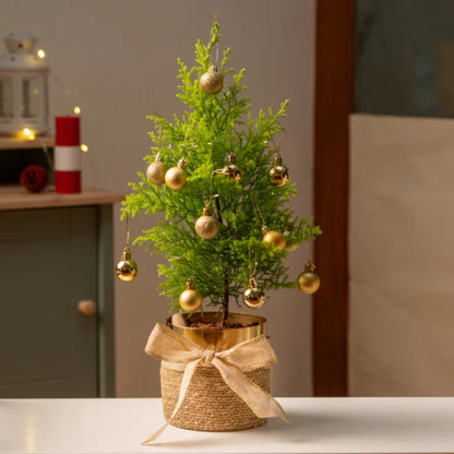 Christmas Tree with Gold Bauble & Brass Planter