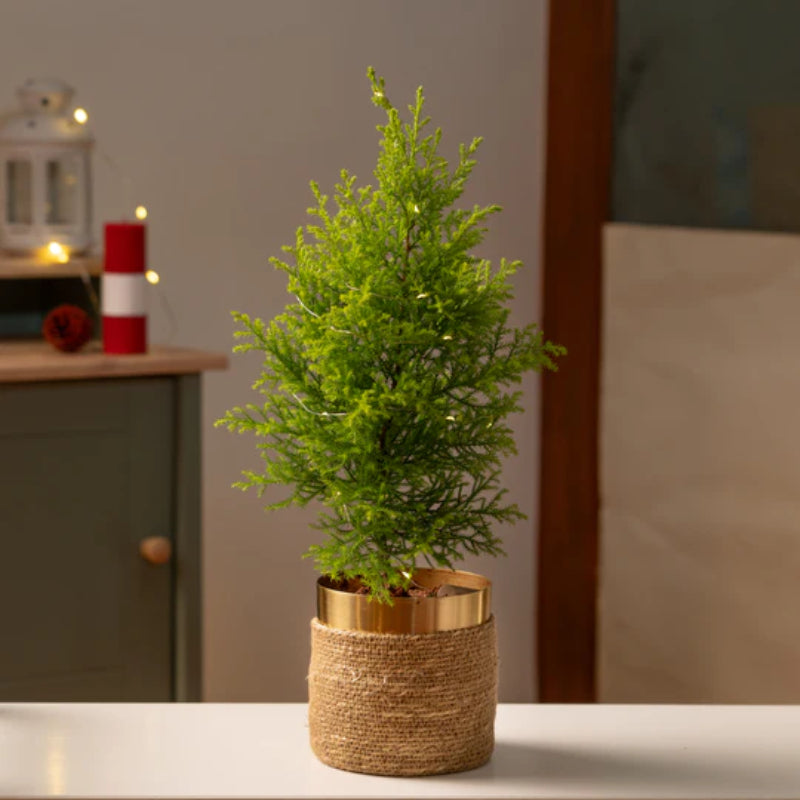 Christmas Tree with Gold Bauble & Brass Planter