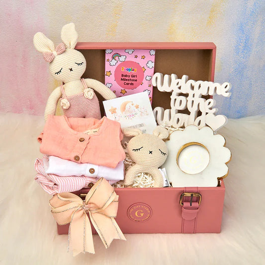 Newborn Baby Girl Hamper-The Gift Stduio