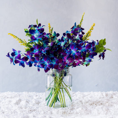 ORCHID BLUE - 10 STEMS