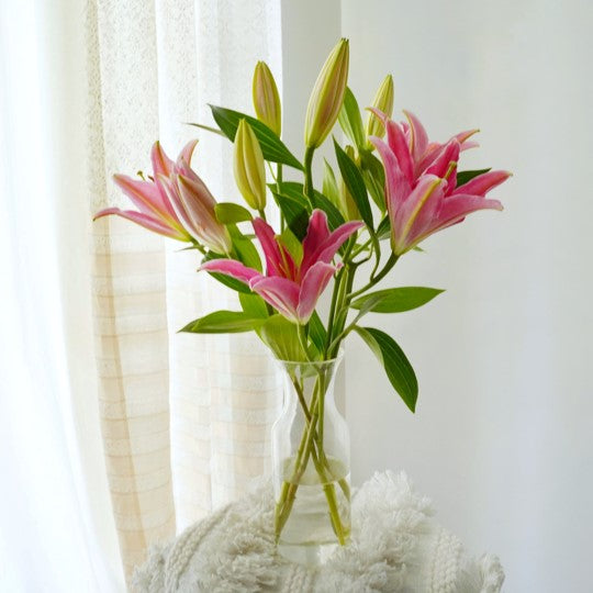 ORIENTAL LILY - 5 Stems