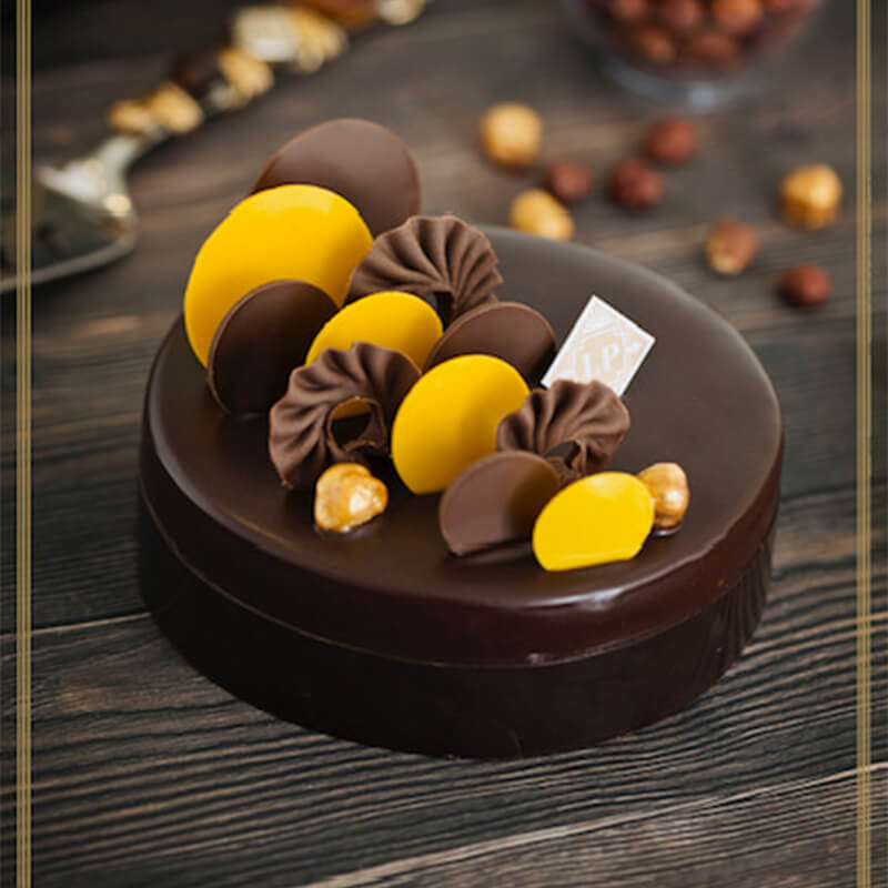 Chocolate Belgian Hazelnut Cake