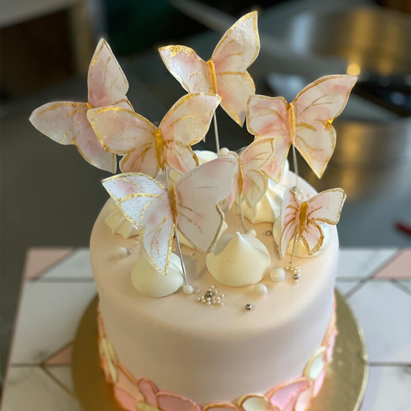 Butterfly Themed Cake