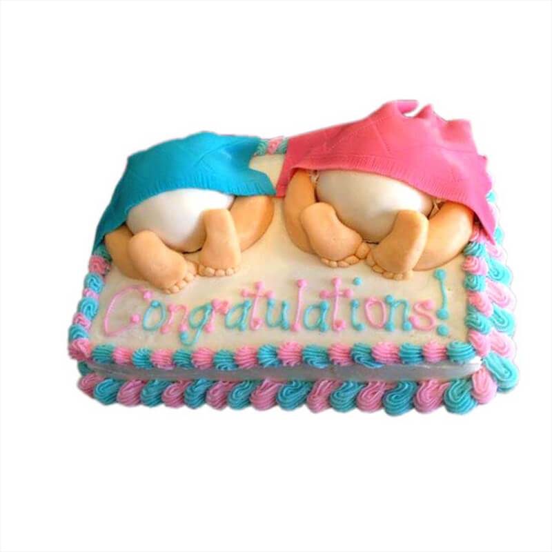 Twin Baby Cake